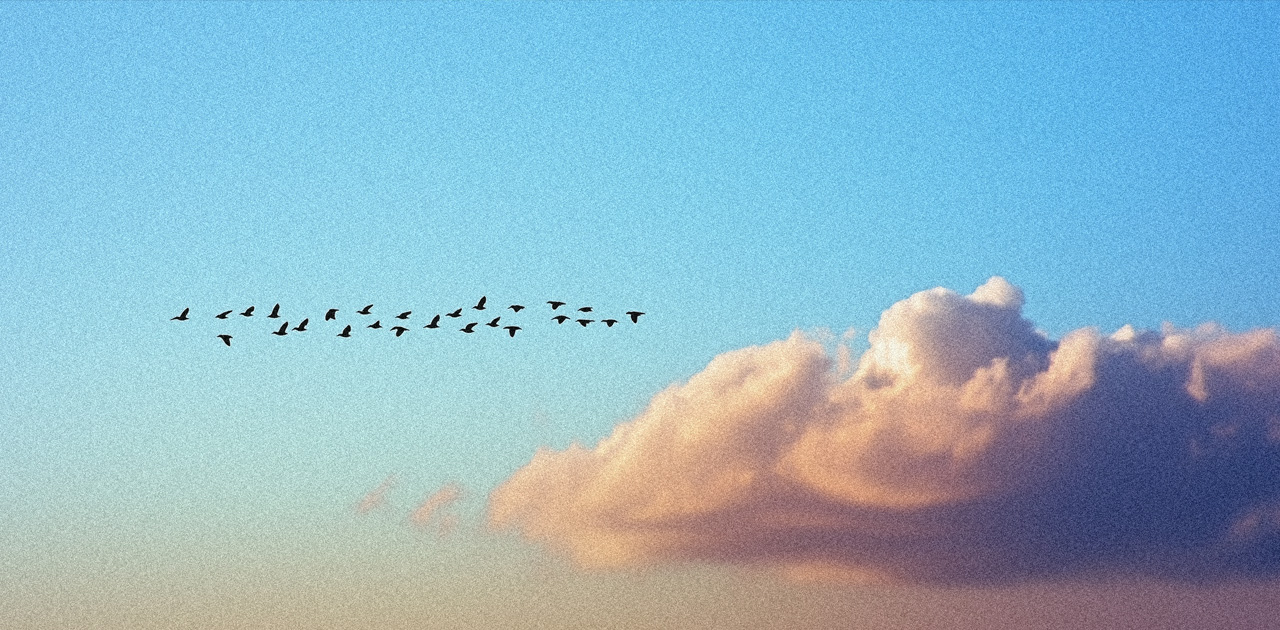 Decorative cloud image